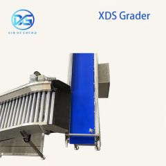 Persimmon Sorting Machine for Fruit Washing Packing Origin China Power 3.75kw Model NO. 0201 HS Code 84223000 Voltage - Image 5