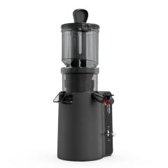 Intuitive Two Button Control Panel Electric Juicer Large Caliber Vertical Cold Press Simple Operation Slow Pressing Juicing - Image 2