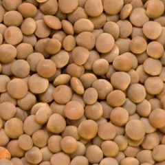 Dried Lentils - Image 3