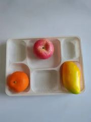 Compostable Disposable 6 Compartments Cornstarch Tableware Tray Food Use - Image 3