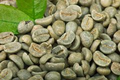 Premium AA Arabica Coffee Beans Natural AA Grade Warehouse Stock | Natural 100% Arabica – product photo 2, product detail gallery