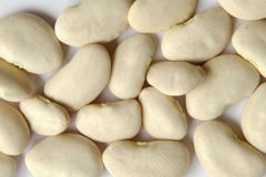 Wholesale Price Supplier of Large Lima Beans Bulk Stock With Fast Shipping Wholesale Supplier of Bulk Fresh Stock of Lar - Image 2