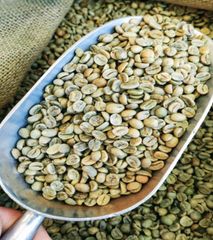 Uganda arabica green Coffe beans - mount elgon bugisu, fully washed 83 point - Image 1