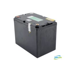 Lithium Iron Phosphate Batterie 24V/48V 80ah 55ah 180ah 280ah Forklift Battery LiFePO4 Li-ion Lipo Battery for UPS Inverter Marine EV RV Forklift - Hefei Lithium Energy Technology Co., Ltd