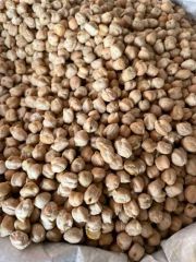Chickpeas - Image 1
