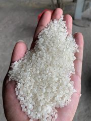 JAPONICA RICE 3% BROKEN ROUND GRAIN RICE BIG SIZE VIETNAM ORIGIN GOOD QUALITYREASONABLE PRICE Riz Arroz whatsap 0084 989 322 607 – product photo 5, product detail gallery