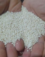 Hulled Sesame Seeds - Image 1