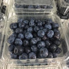 Premium Fresh Blueberries from South Africa for Exports! Class 1 export quality professional packing - Image 4