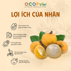Nhãn Tiêu - Tieu Longan Brand Name OCOP Viet Place of Origin Vietnam Packaging Details - Image 3