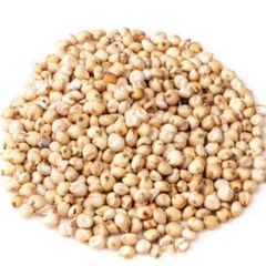 Sorghum – product photo 3, product detail gallery