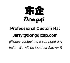 Shijiazhuang Dongqi Technology Co., Ltd