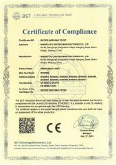 CE certificate from Ningbo OE Lighting Manufacturing Co., Ltd.