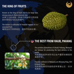 Fresh Premium Durian D24 Malaysia (Whole Fruit) Grade A Style Fresh Type DURIAN Weight (kg) 2 Certification GAP Cultivation Type - Image 3