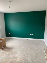 Plastic Paint Services Finish Satin services 4500 product premium Surface Type Wall Property Type Mall Paint Type - Image 12