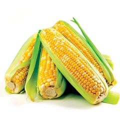 frozen sweet corn kernels IQF Frozen Grain Waxy Glutinous Colorful Organic Corn Cob - Image 1