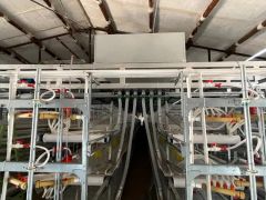 Compact Multi-Tier Chicken Coop for Efficient Poultry Farming - Image 4