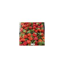 Import organic strawberry fresh with wonderfully aromatic IQF strawberry bulk sale frozen strawberry fresh new season frozen - Image 1
