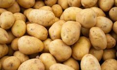 WHITE POTATOES (IRISH) – product photo 1, product detail gallery