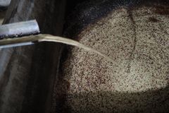 Ready to ship Specialty Arabica Vietnam hand picking coffee beans - Image 3