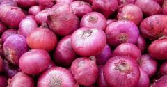 Fresh red Onion - Image 3