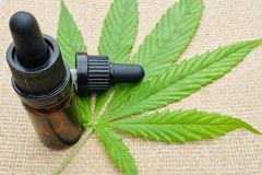Buy Red CBD Oil Flavoured - 8% Strength - Simply CBD, Buy Distilled CBD Oil - Distilled Cannabis Oil - Cornbread Hemp - Image 4