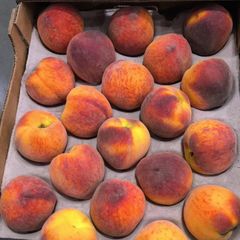 CLASS 1 Export Quality Yellow Flesh Peaches from South Africa! NEW CROPS Excellent packing; – product photo 4, product detail gallery