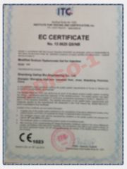 ISO9001 certificate from SHANGHAI REYOUNGEL MEDICAL TECHNOLOGY COMPANY LIMITED