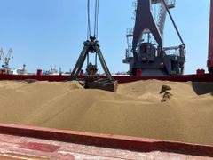 Global Ship Chartering Services - Image 2