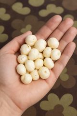 FOX NUTS (MAKHANA) - Image 1
