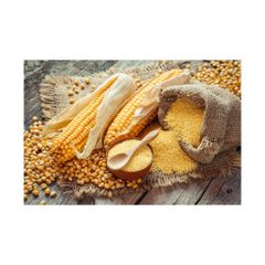 Corn starch maize flour arranged for large volume sourcing with competitive trade pricing - Image 4