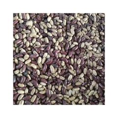 Top selling sugar beans for bulk shipment across global markets - Image 1