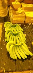 Cavendish Banana – product photo 2, product detail gallery