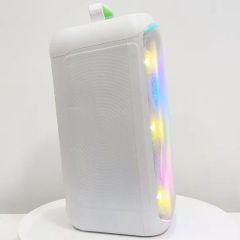 High Quality Double 8 Inch Party Box Speakers with Wireless Microphone - Image 5