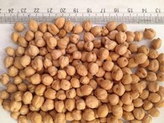 Wholesale Food Grade Kabuli Chickpeas Healthy and Delicious - Image 3