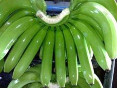 Fresh Cavendish Banana whassap +237671503419 – product photo 2, product detail gallery