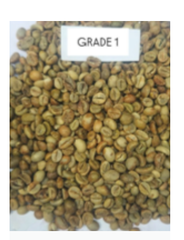 Indonesian Green Coffee Beans – Arabica & Robusta – product photo 1, product detail gallery