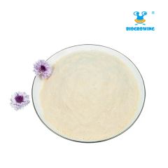 Guidelines Support Probiotic Strains Genetic Identification Functional Food Gut Health - Image 2