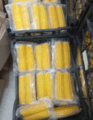 Corn Cob - Image 3