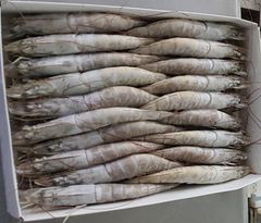 Frozen HOSO  ( Head On Shell On )   Vannamei Shrimp, Raw Frozen Seafood, Premium Quality Shrimp for Wholesale, Bulk Supp – product photo 6, product detail gallery