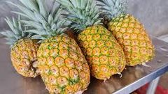 MD2 pineapple - Image 1