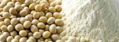 Soybean meal Ash Content 7% Maximum Color Light Tan To Golden Aflatoxin Level Max 20 Ppb Salmonella Presence Negative Moisture Content 12% Maximum - Image 4
