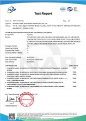 ASTM certificate from Shantou Xinbo Intelligent Technology Co., Ltd