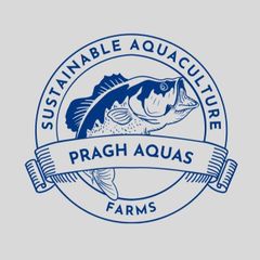 Pragh Aquas LLP