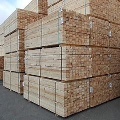 Pure and Natural Pine Wood Lumbers/Beech Wood Lumbers Brand Name Beech Grade AA AB BB BC Material Soild Wood Color Natural - Image 4