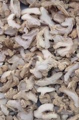 Ginger - Image 1