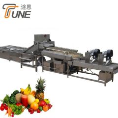 Multifunctional Fruit Vegetable Washing and Drying Machines Power 1.5KW Weight 800kg Trademark TUNE Warranty 1 Year Model NO. - Image 4