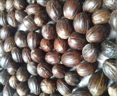 Nutmeg with Shell - Image 2