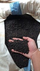 Black Pepper 550GL Origin Indonesia – product photo 3, product detail gallery