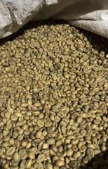 Robusta Coffee - Image 1