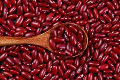 Red Kidney Beans - Image 2